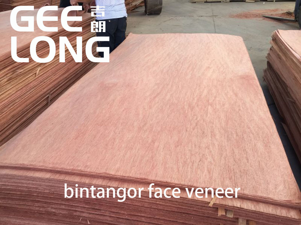 bintangor veneer for exporting