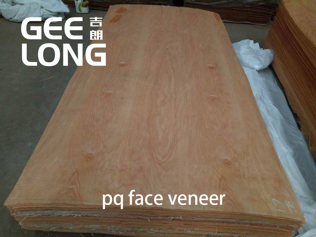 pq veneers