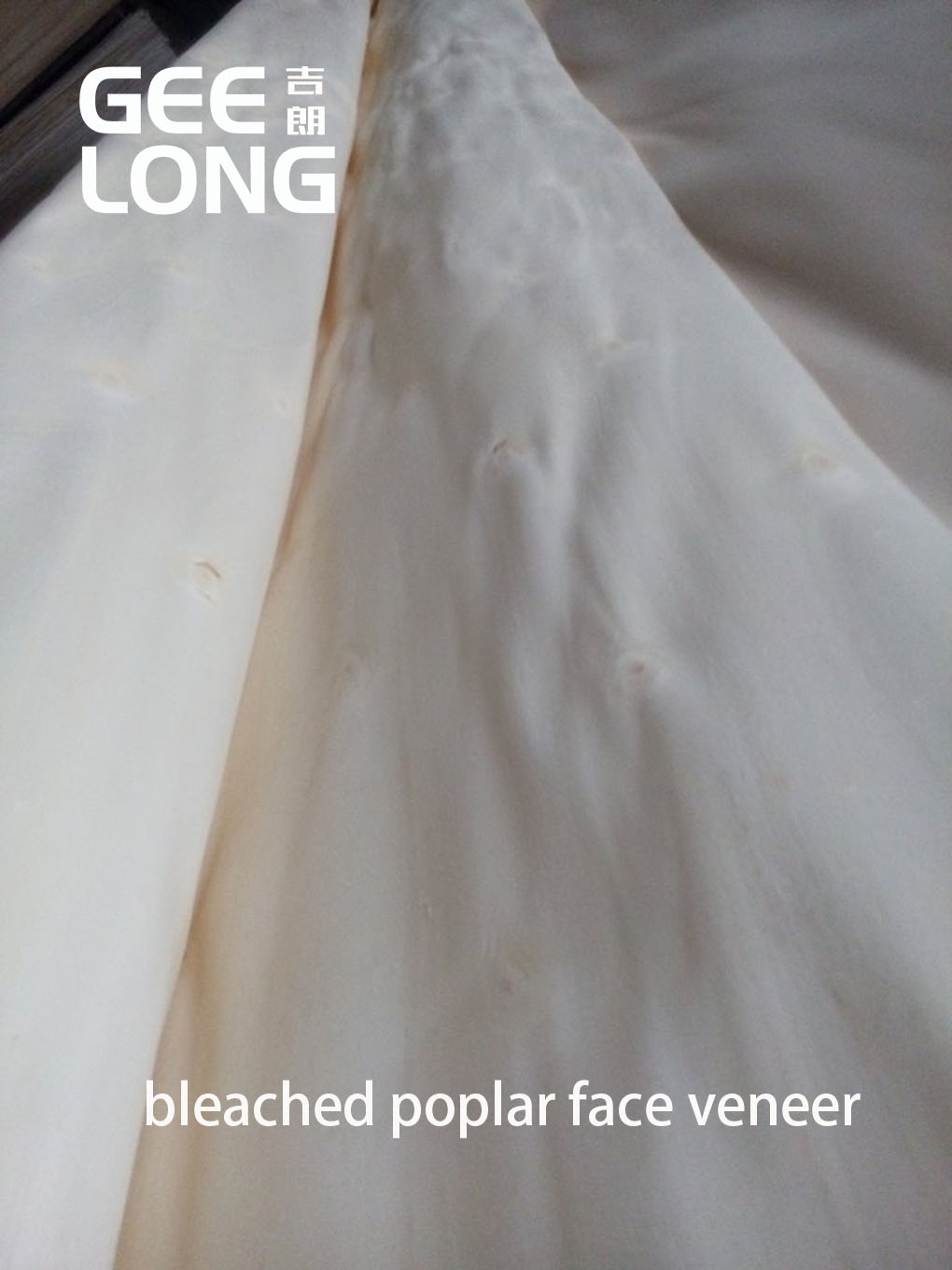 Bleached poplar face veneers for exporting