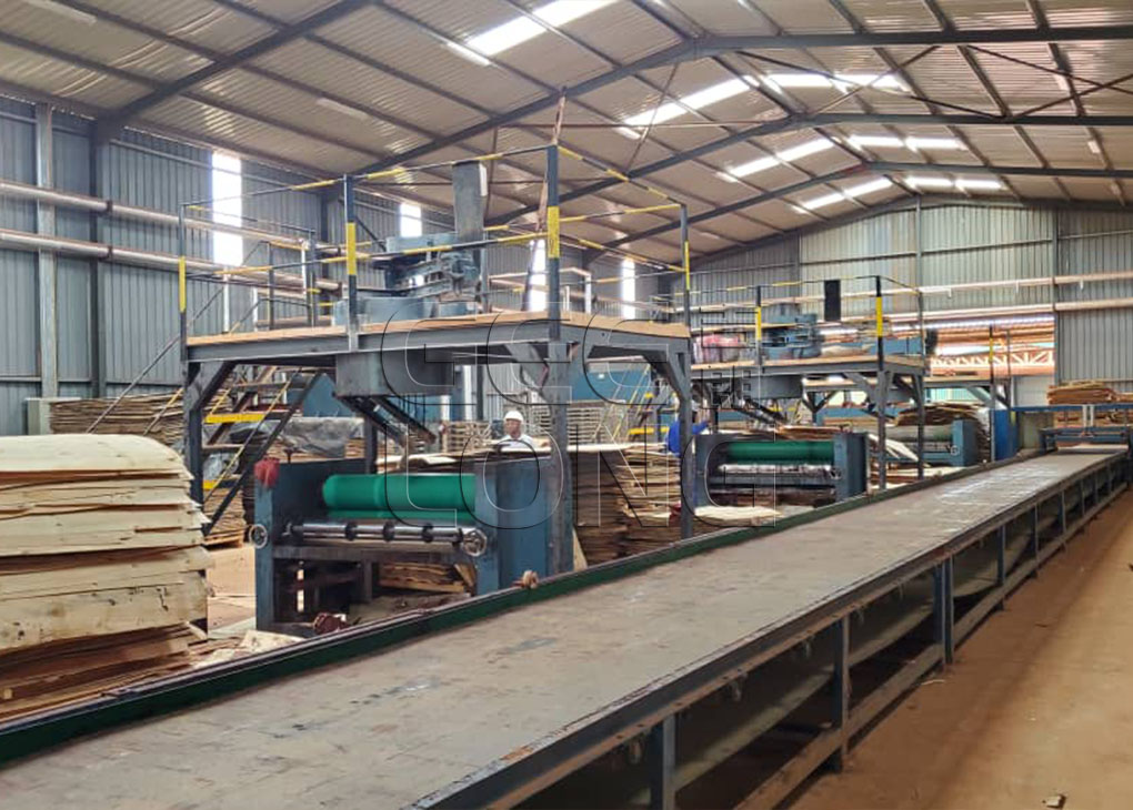 China GEELONG plywood machine at Africa