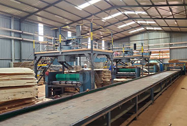 China GEELONG plywood machine at Africa